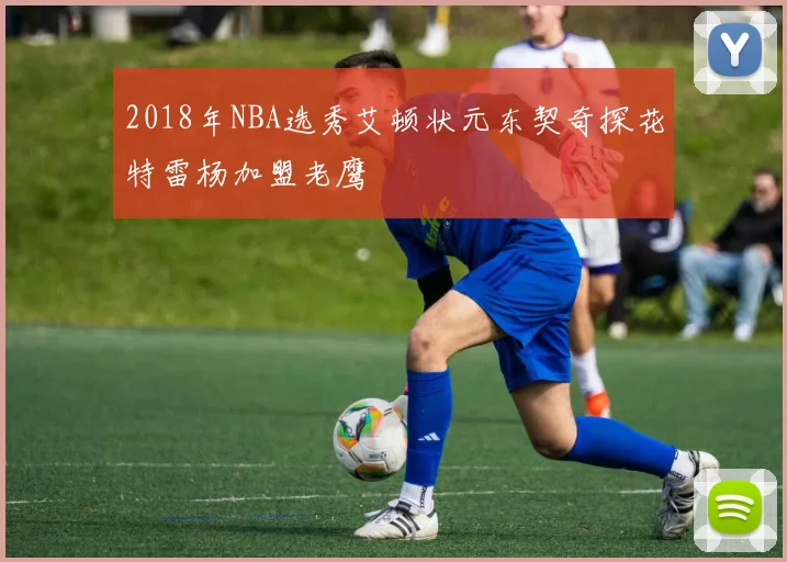 2018年NBA选秀艾顿状元东契奇探花特雷杨加盟老鹰
